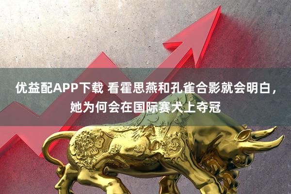 优益配APP下载 看霍思燕和孔雀合影就会明白，她为何会在国际赛犬上夺冠