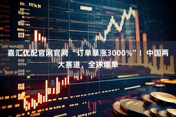 嘉汇优配官网官网 “订单暴涨3000%”！中国两大赛道，全球爆单