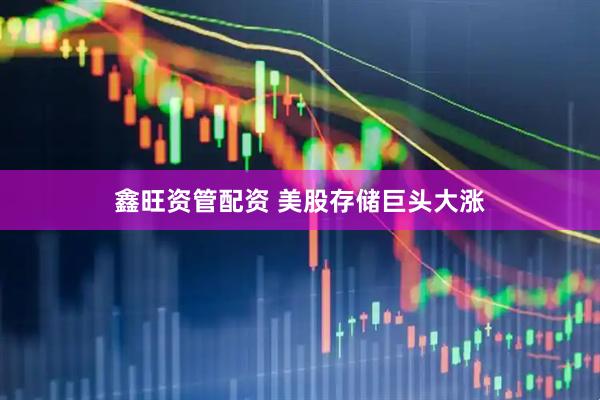 鑫旺资管配资 美股存储巨头大涨